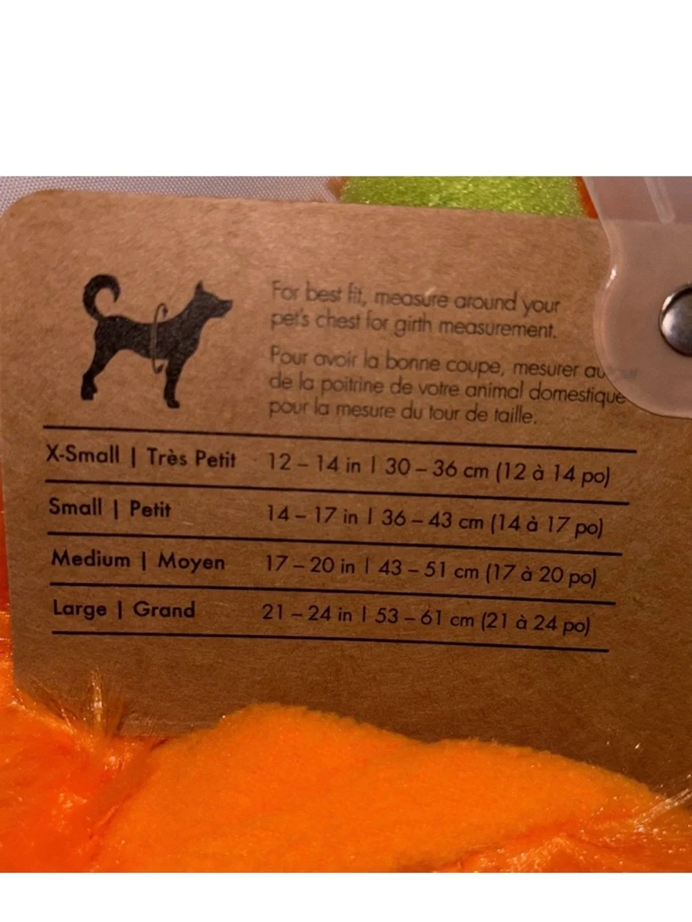 Halloween Jack-O'-Lantern Star Collar Accessory for Dogs - Black & Orange